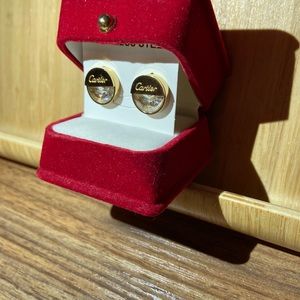 Fashionable earrings